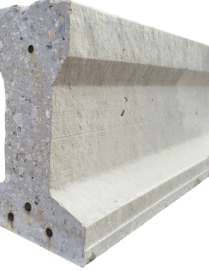 1000054370-removebg-preview – copia